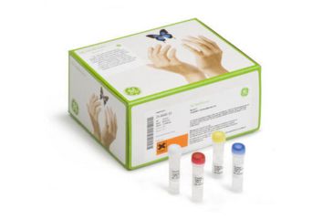 Image of GE Templiphi 100amplification Kit 25-6400-10, Unit EA