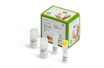 Image of Genomiphi V2 Dna Amp Kit 25RX 25-6600-30