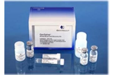 Image of Genvault Purified Dna Recovery Kit GVGR-50