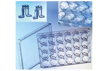 Image of Greiner Bio-One Coverslips 18MM Glass CS1000 501870