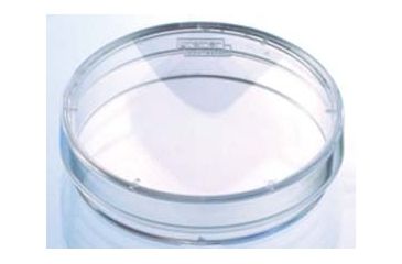 Image of Greiner Bio-One Dish PLY-D-LYSINE100X20MM CS40 664940