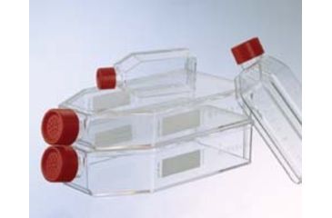 Image of Greiner Bio-One Flask T25 50ML Plug Cap CS200 690190