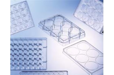 Image of Greiner Bio-One Plate 24 Well Ps St CS100 662102