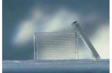 Image of Greiner Bio-One Plate 384WL F/UV CS40 781801