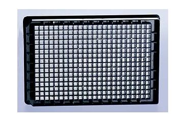Image of Greiner Bio-One Plate 384WL Glass Bottom CS16 781892