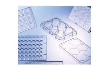 Image of Greiner Bio-One Plate 6WELL Ps Tc CS100 657160