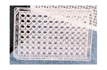 Image of Greiner Bio-One Plate 96WL Ps No Bottom CS40 655000-06