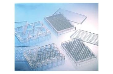 Image of Greiner Bio-One Plate POLY-D-LYSINE 6WELL CS50 657940