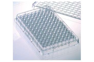 Image of Greiner Bio-One Plate Streptavidin 384WL CS40 781996