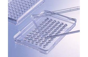 Image of Greiner Bio-One Plate Terasaki 62 Well CS480 653190