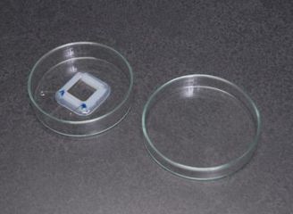 Image of Harvard Apparatus Tissue Slice Chamber Only 5mm 45-0501, Unit EA