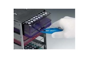 Image of Heathrow Polycarbonate Cryostorage Boxes HS23381B