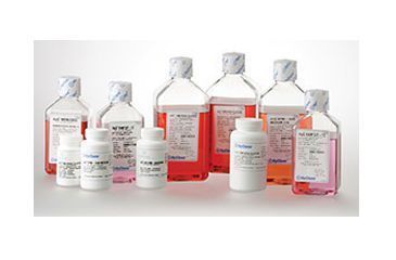 Image of Hyclone DMEM/HIGH Glucose W/L-GLUT PK6 SH30022.LS