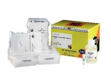 Image of IBI Scientific 4 X 96 Well Genomic Dna Kt IB47251