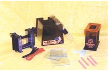 Image of IBI Scientific Magelin Electropho Sys 10X10CM IB92000