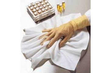 Image of ITW-Texwipe Wipers 18X18 2PLY Plyest PK100 TX2418