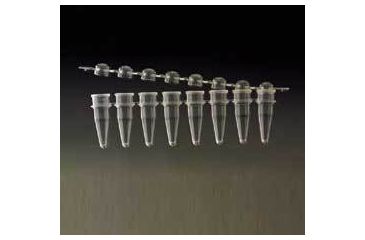 Image of Labcon PCR 8-Well Tube Strips and Caps 3945-550-000 Tube Strips With Separate Bubble Cap Strips