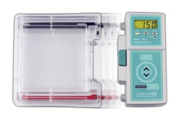Image of Labnet Int. Enduro Gel XL Electrophoresis and Molecular Biology Equipment