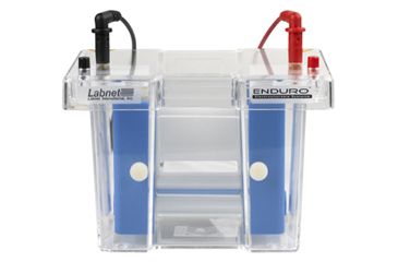 Image of Labnet Enduro Vertical Electrophoresis Systems