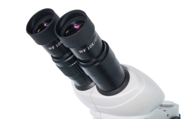 Image of Levenhuk 20-40x 4ST Binocular Microscope, White, Middle, 76055