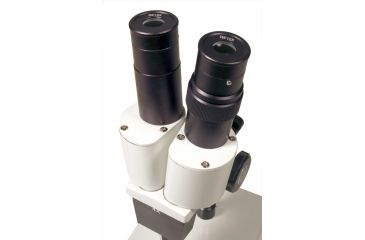 Image of Levenhuk 2ST Microscope, White, Medium 35322