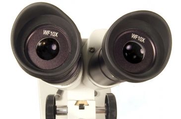 Image of Levenhuk 2ST Microscope, White, Medium 35322