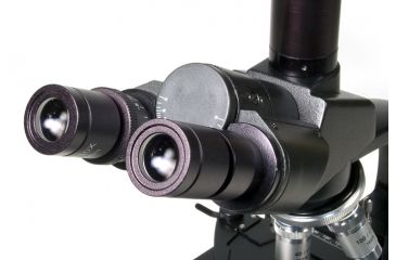 Image of Levenhuk 670T Biological Trinocular Microscope, Black, Medium 35324