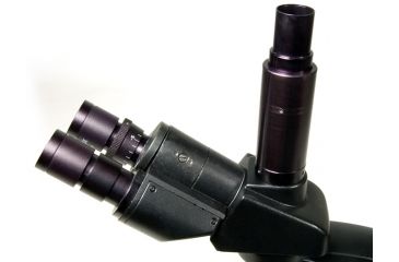 Image of Levenhuk 670T Biological Trinocular Microscope, Black, Medium 35324