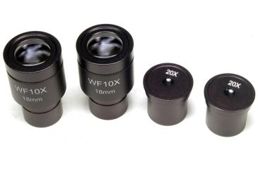 Image of Levenhuk 670T Biological Trinocular Microscope, Black, Medium 35324