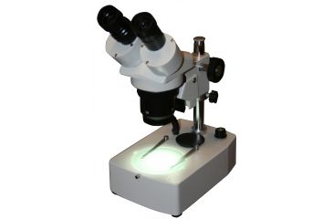 Image of LW Scientific DM Stereo Microscope, 10x/30x Magnification on Dual Led Stand, CREAM DMM-S13N-7LL1