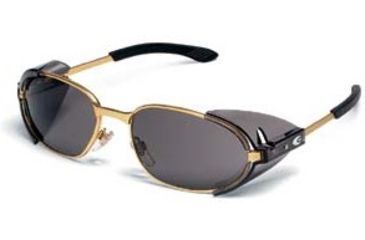 Image of MCR Safety RT2 Brass Frm Gry Lns R2112