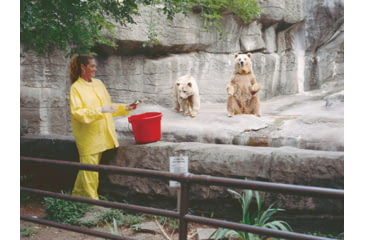 Image of MCR Safety Zodiac Series Lightweight 3 Piece Waterproof Rain Suit, .10mm Single Ply PVC, Rain Jacket, Detachable Hood and Bib Pants, Yellow, XL, O503XL