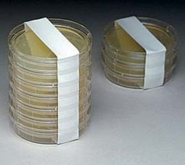 Image of Micronova Tape Sleeve Seal 2INX18YD Irrd CSLB-2WHIR