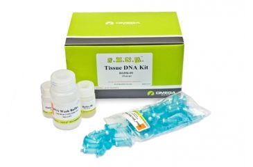Image of MP Biomedicals Fastdna Spin Kit For Soil 116560200
