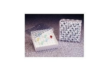 Image of Nalge Nunc Box Microcenttube Pc .2ML CS24 5055-5002 Box Microcenttube Pc .2ML CS24
