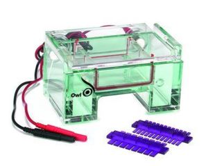 Image of Nalge Nunc Comb 1.0MM And 1.5MM Teeth B1A-10