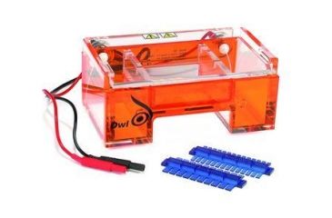 Image of Nalge Nunc Comb F/B1+B1-BP 12-TOOTH 1.5MM B1-12D