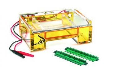 Image of Nalge Nunc Comb F/B2+B2-BP Prep 1.5MM B2-PREP