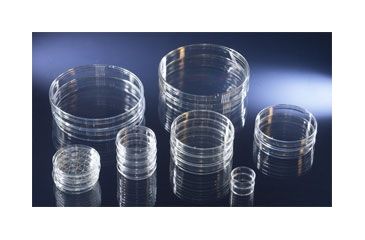 Image of Nalge Nunc Dish Petri 100X25MM St CS300 4031