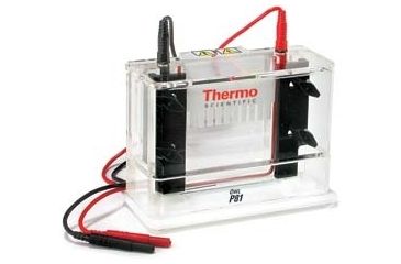 Image of Nalge Nunc Gasket Replacement F/P81 P81-GK