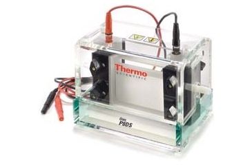 Image of Nalge Nunc Penguin Dual Cooled Vert Systm P9DS-2