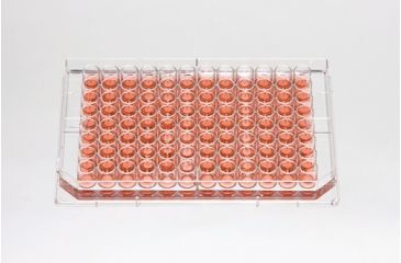 Image of Nalge Nunc Plate 96well 400ul Cs160 267312, Unit CS