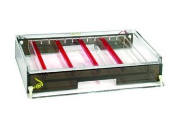 Image of Nalge Nunc Tray Uvt Gel 23X40 F/A3 A3-UVT-1
