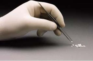 Image of Namsa Spore Discs - EO/DRY Heat DN-06