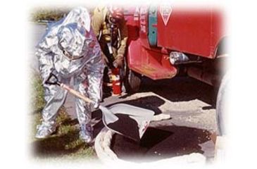 Image of NPS Corporation Pillows 18X18 Oil Only M-62