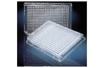 Image of Nunc 384 Well Plate Clr Ns CS100 262160