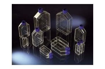 Image of Nunc Cap Filter Nunclon Flask CS100 151209
