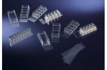 Image of Nunc Coverglass 22X74MM CS96 171080