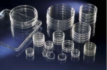 Image of Nunc Dish Tc 60X15MM WO/VENTS CS400 150326