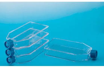 Image of Nunc Flask 185 CM2 Solo Vntcap CS50 144881